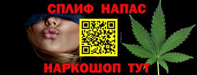 сатива Краснодар